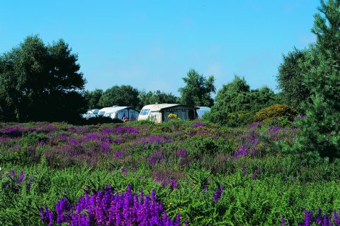 Blue Sky Leisure Kelling-Heath-Caravan-Pitches