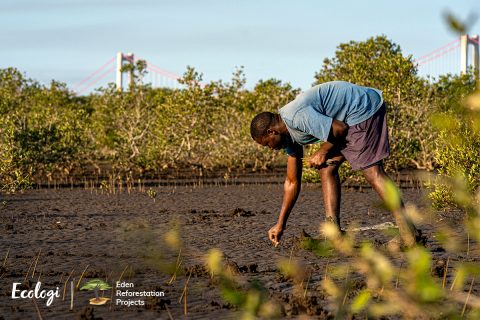 Madagascar - Ecologi Tree Planting