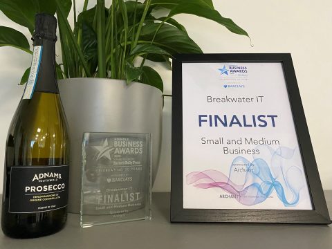 Norfolk Business Award Trophy with Certificate
