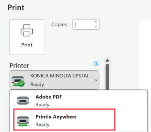 Word Print Options 