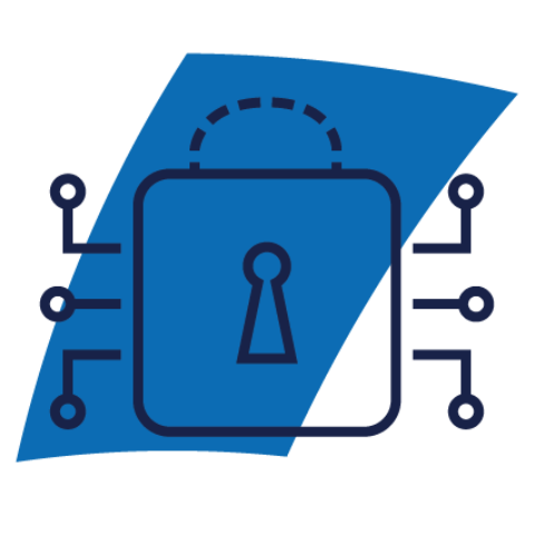 Network Security Icon Network Security Icon